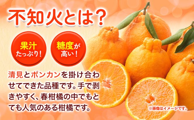 【先行予約】訳あり 不知火 ( デコポンと同品種 ) しらぬい 約5kg (M～5Lサイズ) どの坂果樹園《2026年2月上旬-4月上旬頃出荷》 和歌山県 日高町 しらぬい でこぽん 旬 果物 フルーツ 柑橘 訳あり不知火 訳ありデコポン 訳ありしらぬい 送料無料---wsh_dsk5_ad24_24_9000_5kg---