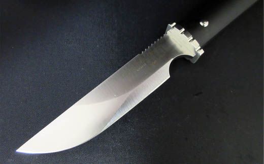 H65-07 Campn' Twin チョッパー