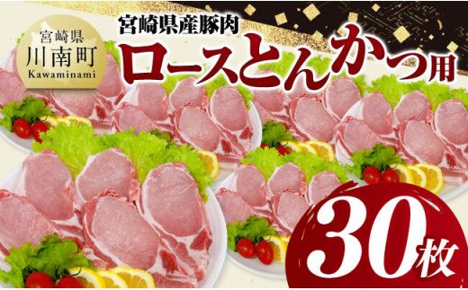 宮崎県産豚肉ロースとんかつ用30枚 [ 豚肉 豚 肉 宮崎県産 ロースカツ 送料無料 ][D11606]