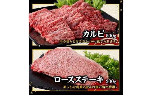 宮崎牛 堪能セット 【スペシャル】 合計1.6kg【 肉 牛肉 国産 宮崎県産 黒毛和牛 和牛 モモスライス カルビ 】[D11414]