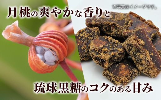 琉丘チャイティー ３箱 【贈答用】 - チャイティー チャイ マサラチャイ スパイス 本格的 こだわり チャイ ティーパック お手軽 簡単 人気 おすすめ 無添加 無農薬 黒糖 国産 自然の恵み 優しい 味わい 沖縄県 八重瀬町【価格改定】