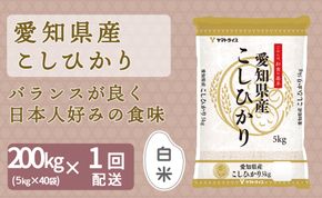 【精米】愛知県産コシヒカリ 200kg（5kg×40袋） 安心安全なヤマトライス 米 白米 国産 精米 大容量 5キロ　H074-627