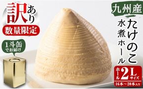 ＜訳あり・業務用＞数量限定！1斗缶たけのこ水煮ホール2L(16本～20本) 国産 九州産 鹿児島県産 筍 竹の子 水煮 簡易包装 酢豚 筑前煮 若竹煮 天ぷら チンジャオロース たけのこご飯 きんぴら【上野食品】a-50-3