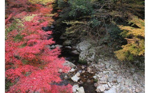 R5-120． 宿泊補助券　5枚（5,000円分）