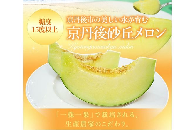 糖度15度以上！京丹後砂丘メロン2玉入り　（2Ｌサイズ以上）／北畿水産(2026年6月下旬～発送) 国産 2玉 フルーツ 果物 メロン 砂丘メロン 甘い 糖度 京都 ふるさと納税 フルーツ ふるーつ くだもの ご当地メロン めろん 生産者応援 農家応援　HK00275
