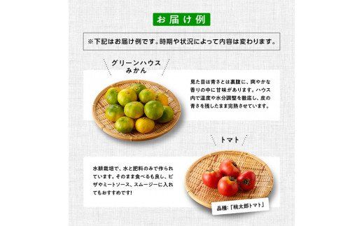 野菜 産直 おすず村 厳選詰め合わせセット（大）【 旬野菜 フルーツ 直売所 産地直送 宮崎県産 】☆[G3803]