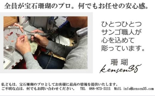 血赤サンゴ枝のピアス　kn001