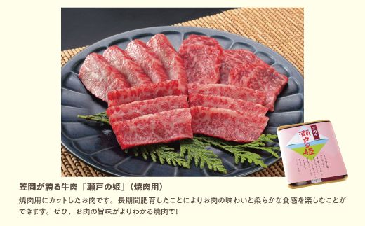 A-09 瀬戸の姫（焼肉用）《45日以内に出荷予定(土日祝除く)》