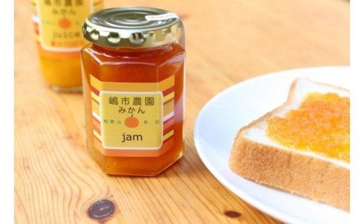 100％ みかんジュース 200ml みかんジャム　合計11本 セット ストレート 無添加 嶋市農園｜ 和歌山有田 丸絞り 和歌山 有田 国産 果汁 CL003