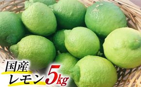 【2025年8月下旬～発送】〈国産〉レモン 「璃の香(りのか)」 5kg / 柑橘 檸檬 れもん 産地直送 / 南島原市 / 長崎県農産品流通合同会社 [SCB079]