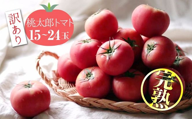 ymɓszy󂠂z ̓40N̔_Ƃ璼 nIYg}g15`24ʁ@H139-017