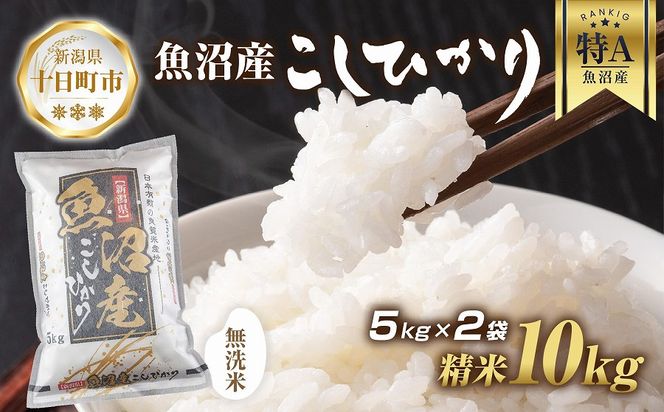 【令和5年産 新米予約】無洗米 魚沼産 コシヒカリ 5kg × 2袋 計10kg 新米 農家のこだわり 新潟県 十日町市 お米 こめ 白米 コメ 食品  人気 おすすめ 送料無料 DE243