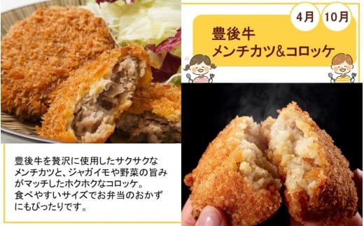 おかず や お弁当 に！手間いらずで美味しいお肉の定期便/翌月から計6回発送_2432R