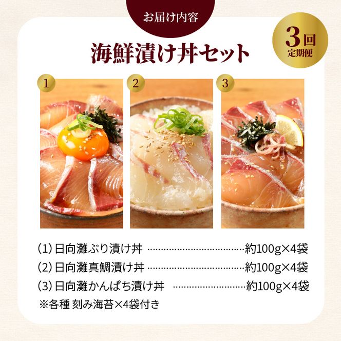 日向灘 海鮮丼 漬け丼 お魚の漬け丼 バラエティ3回定期便　N019-C515