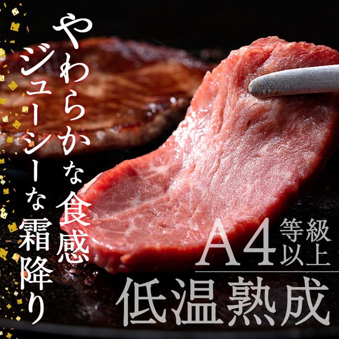 おおいた和牛 ヒレ 焼肉 (計600g・ヒレ200g×3P) 国産 牛肉 肉 霜降り 低温熟成 A4 和牛 ブランド牛 BBQ 冷凍 大分県 佐伯市【DH236】【(株)ネクサ】