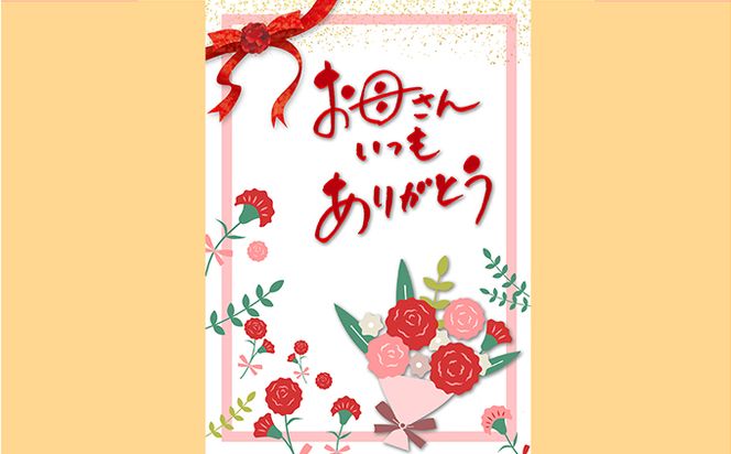 【母の日にお届け】四国特紙　トイレットペーパー　プレミアムセット