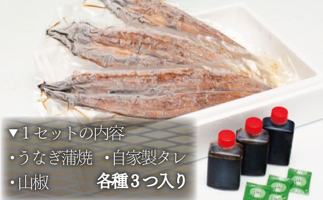 うなぎ蒲焼 3尾セット（合計600g以上） F-124
