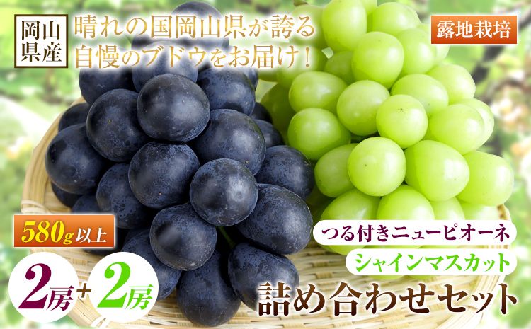 [先行予約] 岡山県産 つる付き!ニューピオーネ 2房 1房あたり580g & シャインマスカット 2房 1房あたり580g セット 露地栽培[配送不可地域あり]ニューピオーネ シャインマスカット[9月上旬-10月末頃に出荷予定(土日祝除く)] 岡山県 矢掛町 晴王 ぶどう 詰め合わせ 果物---osy_chbf41_af9_25_37500_c---