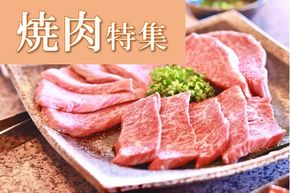 ふるさと納税！【焼肉】の返礼品ランキング	