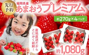 【先行予約/2026年】あまおうプレミアム 約270g×4パック《2026年2月以降順次発送》 農家直送 あまおう いちご 苺 フルーツ お取り寄せグルメ お取り寄せ 福岡 お土産 九州 福岡土産 取り寄せ グルメ 福岡県 【北海道・沖縄・離島への配送不可】