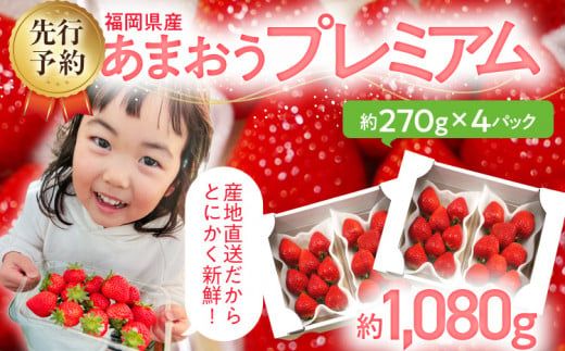 ycszys\/2026Nz܂v~A 270g×4pbNs2026N2ȍ~t _ƒ ܂   t[c 񂹃O   yY B yY  O  ykCEEւ̔zsz