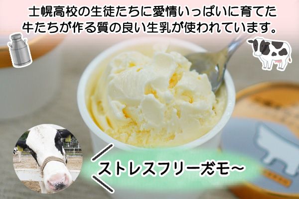 【CF】北海道 士幌高校 アイスクリーム バニラ 100ml 8個 セット アイス ミルク スイーツ カップアイス 贈り物 お取り寄せ 詰め合わせ 詰合せ 送料無料 十勝 士幌町 クラウドファンディング【H03】