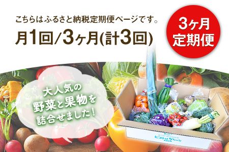 3ヶ月定期便 旬の新鮮野菜・果物詰合せセット (計3回お届け)たっぷり10-15品目 熊本県氷川町産 道の駅竜北《お申込み月の翌月から出荷開始》---sh_cmitiysibtei_21_63000_mo3num1---