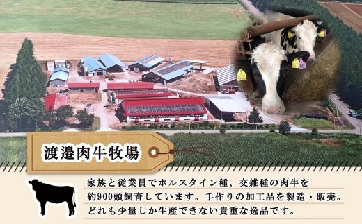 北海道 ビーフソーセージ 食べ比べ 計3袋 無塩漬 チーズ セット BBQ バーベキュー 牛 赤身肉 国産牛 肉 ビーフ 加工品 おかず 惣菜 お惣菜 おつまみ 国産 冷凍 詰合せ お取り寄せ 送料無料 十勝 士幌町【W01】