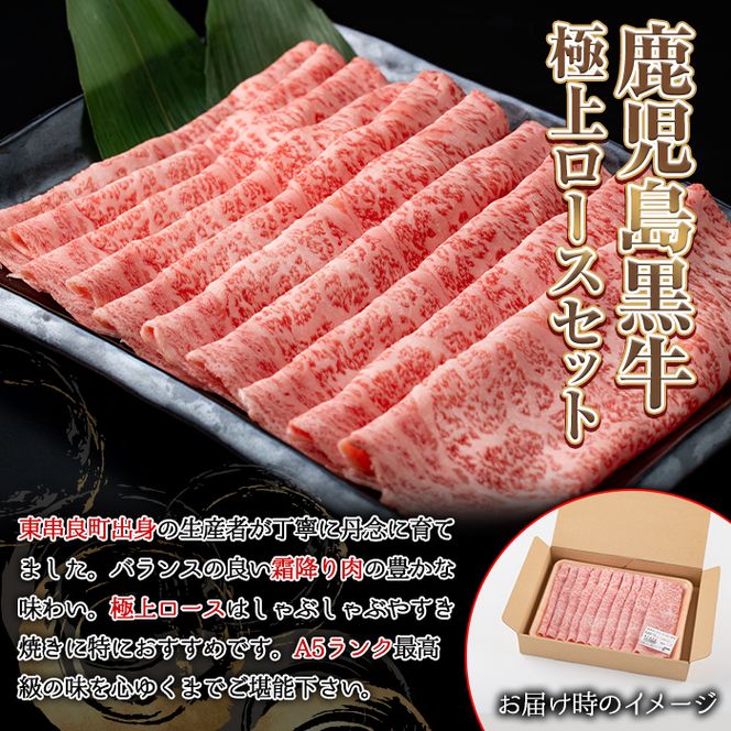 y̑Sǒzy0271717azs10cƓȓɔItYјaIA5ɏネ[XԂԂ₫p(500g)   a Ⓚ Y  Ԃ Ă Ⓚ yOc{Yz