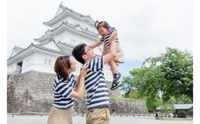 72-1420　小田原城撮影（60分撮影/写真データ付き）