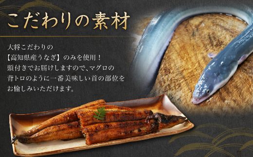 うなぎ蒲焼き 1尾 高知県産 70年つぎ足しの秘伝のたれ！ 国産 ウナギ 鰻 うなぎ 蒲焼き 秘伝のタレ 土用の丑の日 配送可 うなぎ丼 うな重 うなぎ茶漬け うなぎ寿司!