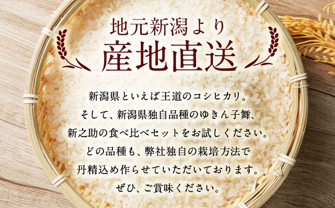【新米受付・令和8年産米】 違いを楽しめるお米セット  新潟県村上市岩船産コシヒカリ・ゆきん子舞・新之助 計6kg（各2kg)  NA4110