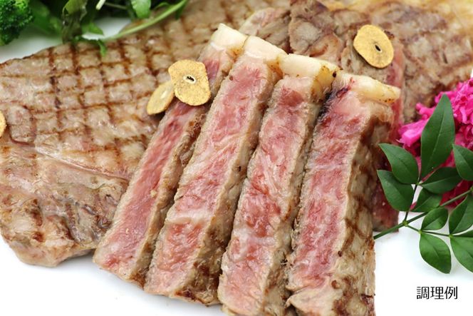 [AS002] 【A4-5ランク】能登牛サーロインステーキ用（600g）