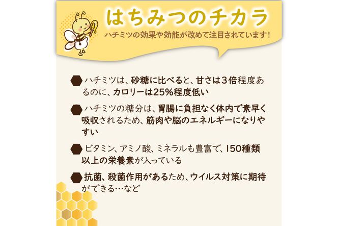 KYOTOTANGOHONEY森の百花蜜純粋天然ハチミツ300g（ボトル