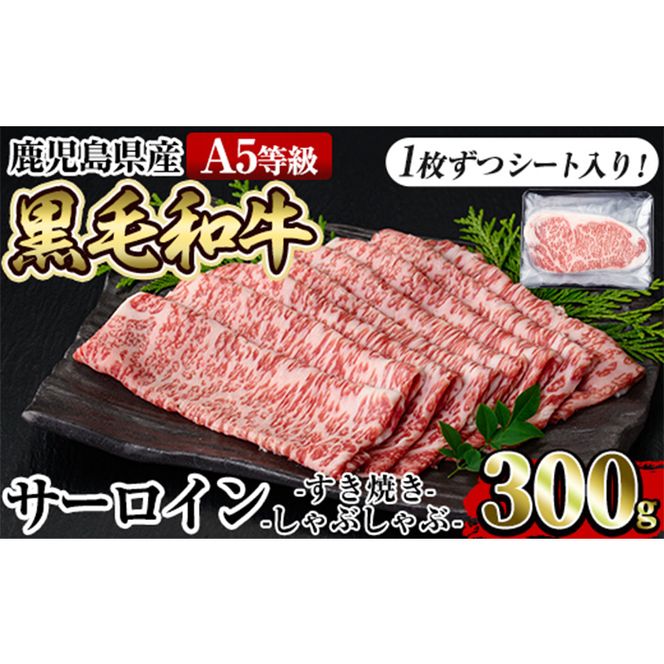 a905 ≪A5等級≫鹿児島県産黒毛和牛サーロインスライス(300g)【水迫畜産】国産 肉 牛肉 牛 黒毛和牛 サーロイン 薄切り スライス すき焼き しゃぶしゃぶ