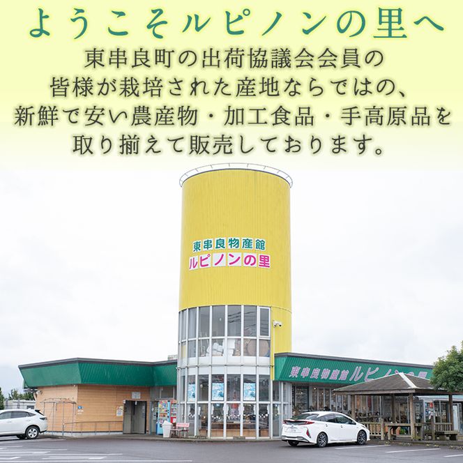 【04808】東串良物産館のおたのしみBOX-Sサイズ！【東串良物産館】