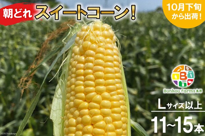 y茧szBF111 10{oׁIuǂXC[gR[IvLTCYȏ×11`15{ZbgySIɂHGoׁz