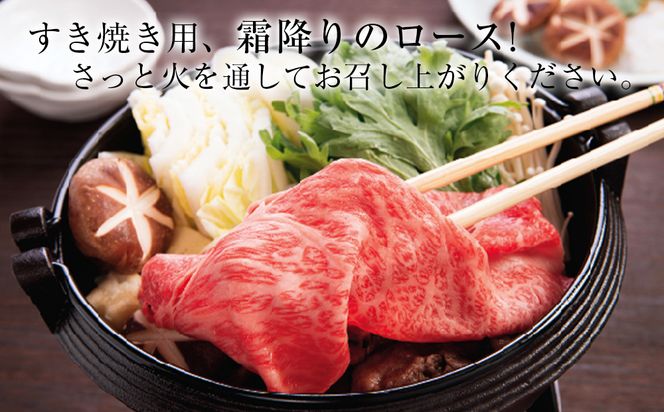 白老牛 すき焼き 霜降り ロース 500ｇ 特製すき焼きのたれ付き 和牛 ＜徳寿＞ BJ058