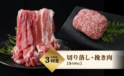 DM026 ＜定期便＞3回プラン 幻の銘柄豚 富士湧水ポーク 4か月毎に美味しいお肉が届く！ 食べつくしセット