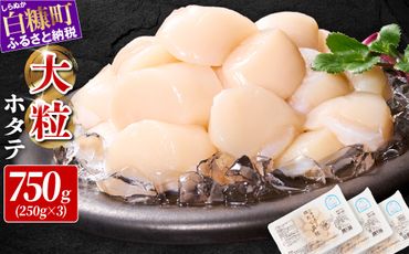 【食べて応援！】総合ランキング1位獲得! オホーツク産お刺身用ホタテ大サイズ（3S）【750g（250g×3）】