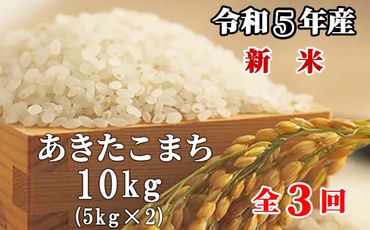 【3回定期便】白米 10kg 令和5年産 あきたこまち 岡山 「おおがや米」生産組合 G-bg-BCZA