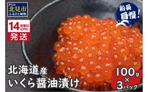  《14営業日以内に発送》北海道産 いくら醤油漬け 100g×3パック ( いくら イクラ 醤油漬け しょう油 鮭卵 )【114-0066】