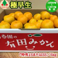 極早生 有田 みかん 特秀 S または SS サイズ 5kg 南泰園 和歌山 有田みかん  BS601