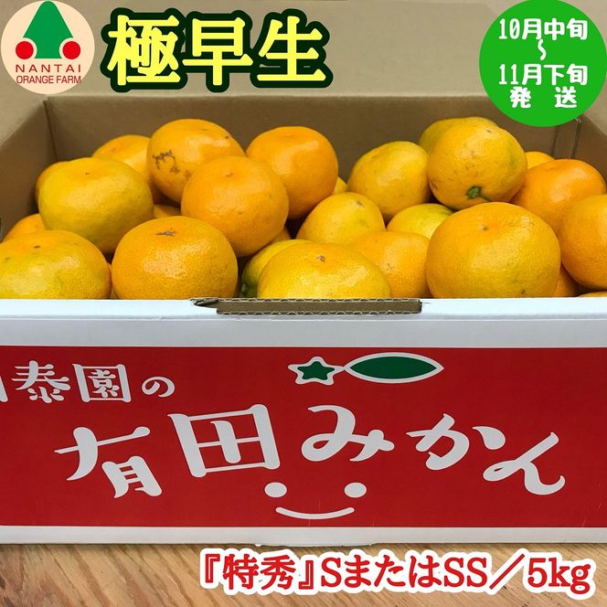 極早生 有田 みかん 特秀 S または SS サイズ 5kg 南泰園 和歌山 有田みかん  BS601