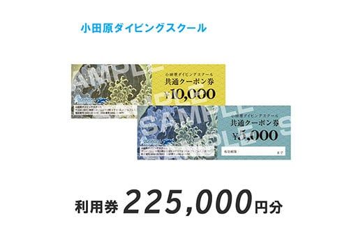 45-1117　小田原ダイビングスクール 共通クーポン券 225,000円分