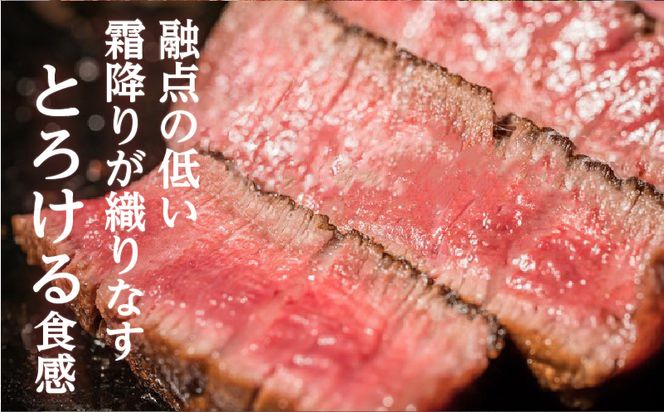 【岩元精肉店】鹿児島県産黒毛和牛ヒレステーキ5枚（600g）6ヵ月お届けコース　K045-T05