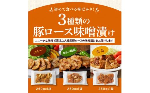 お試し！大分県産豚と味噌を使用 豚ロースの味噌漬け3種セット計3パック_2095R