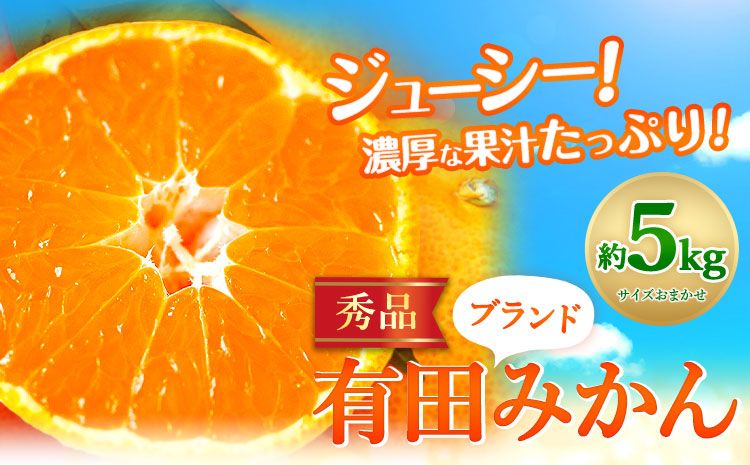 [先行予約]有田みかん 秀品 5kg(サイズおまかせ)とち亀物産 紀伊国屋文左衛門本舗[10月中旬-1月中旬頃出荷予定]和歌山県 日高町 有田みかん みかん 果物 フルーツ ブランド果実---wsh_ttk23_10c1c_25_16000_5kg---