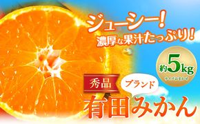 【先行予約】有田みかん 秀品 5kg(サイズおまかせ)とち亀物産 紀伊国屋文左衛門本舗《10月下旬-1月中旬頃出荷予定》和歌山県 日高町 有田みかん みかん 果物 フルーツ ブランド果実---wsh_tkamk_h101_22_14000_5kg---