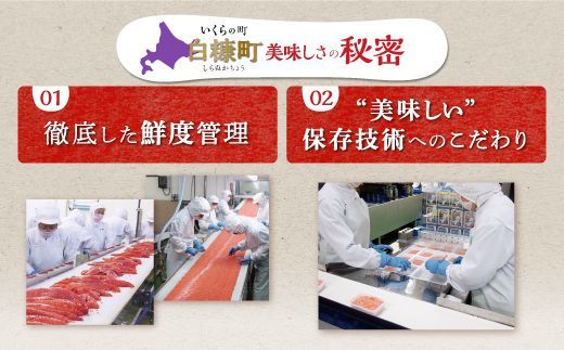 醤油漬鮭いくら 400g(200g×2パック) イクラ 小分け いくら醤油漬 鮭いくら いくら醤油漬け 鮭 鮭卵 ikura 醤油いくら 冷凍いくら いくら北海道 醤油鮭いくら 人気 大好評品 北海道 白糠町